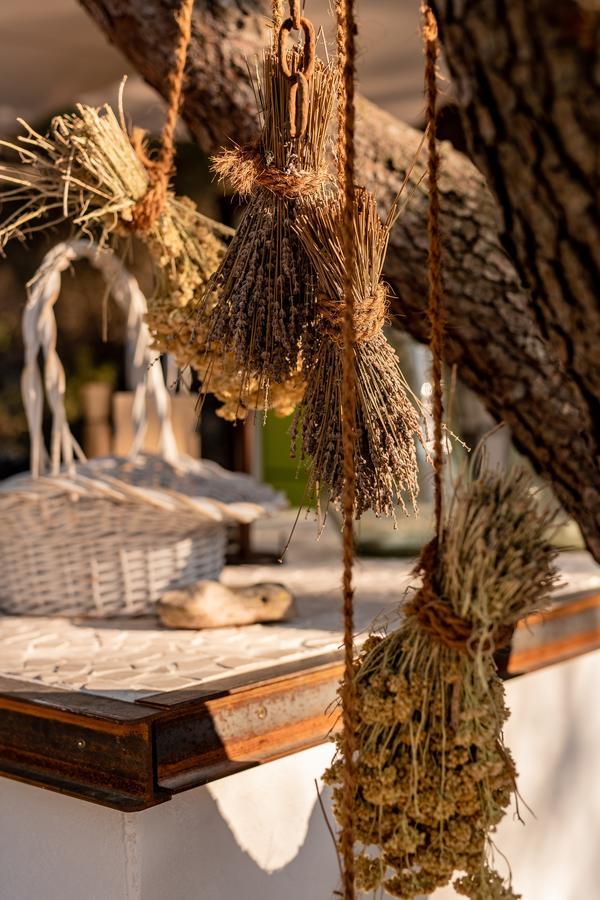 Ferienhaus Cachee - Glamping