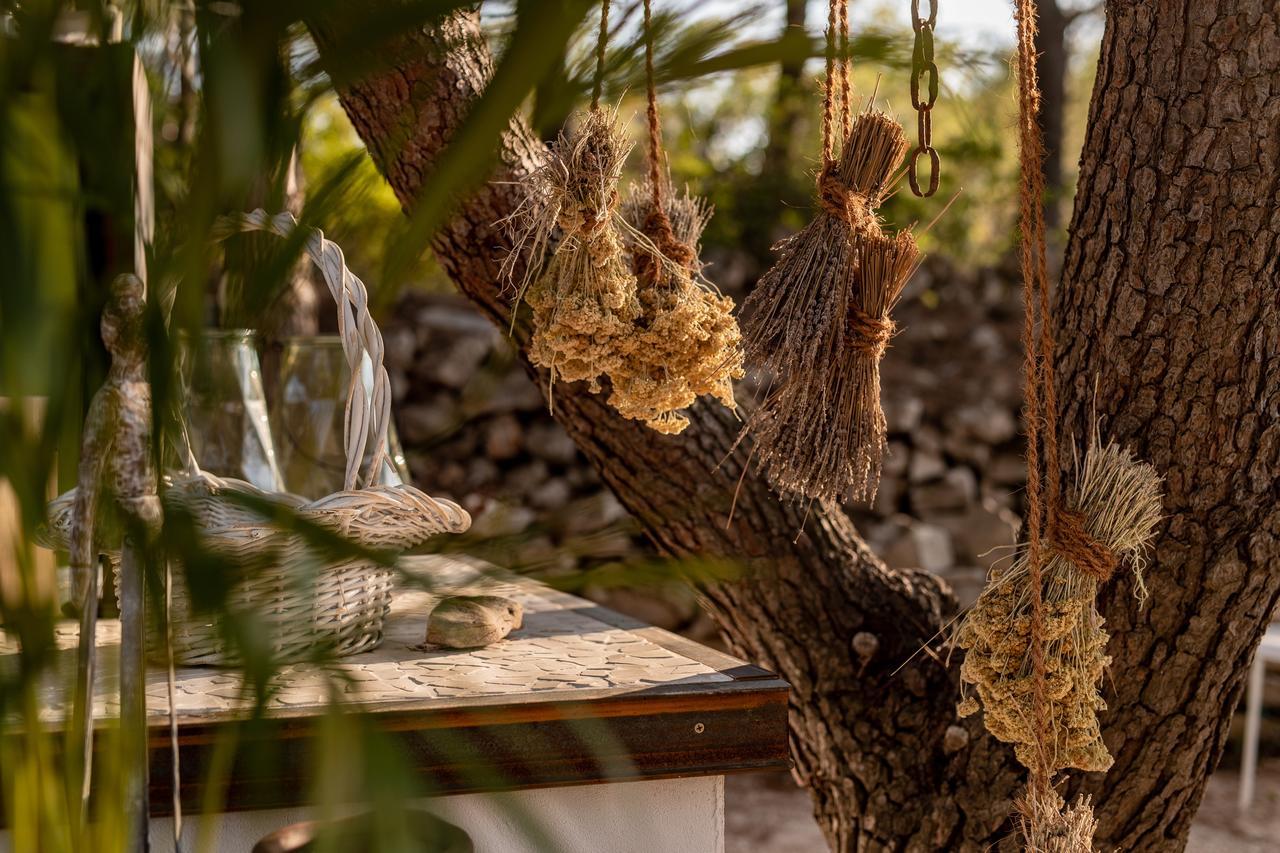 Cachee - Glamping *